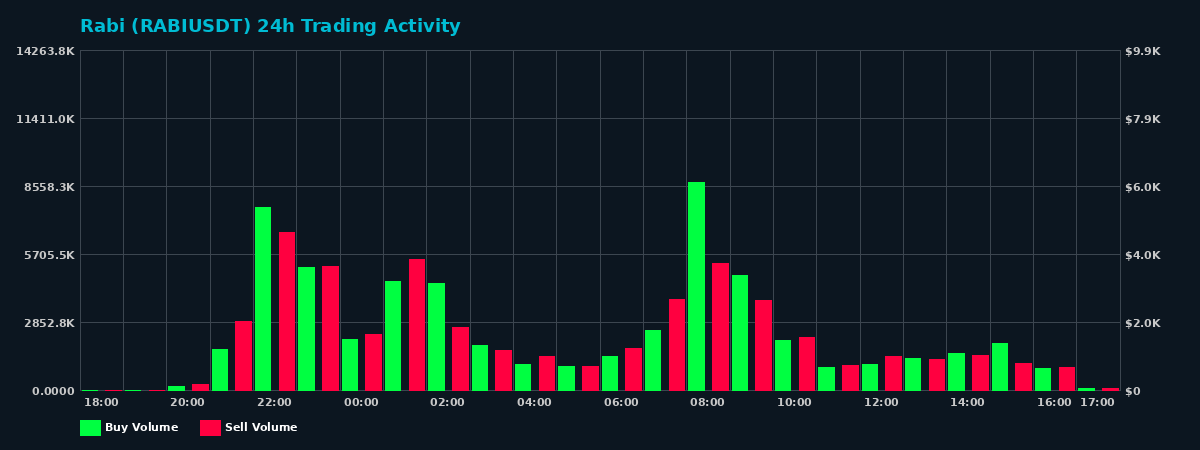 Rabi (RABI) 24 Hour Trading Activity Chart on MEXC Exchange showing buy and sell volumes