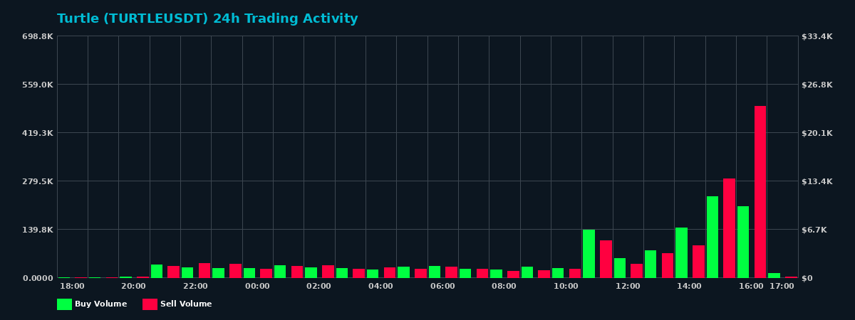 Turtle (TURTLE) 24 Hour Trading Activity Chart on MEXC Exchange showing buy and sell volumes