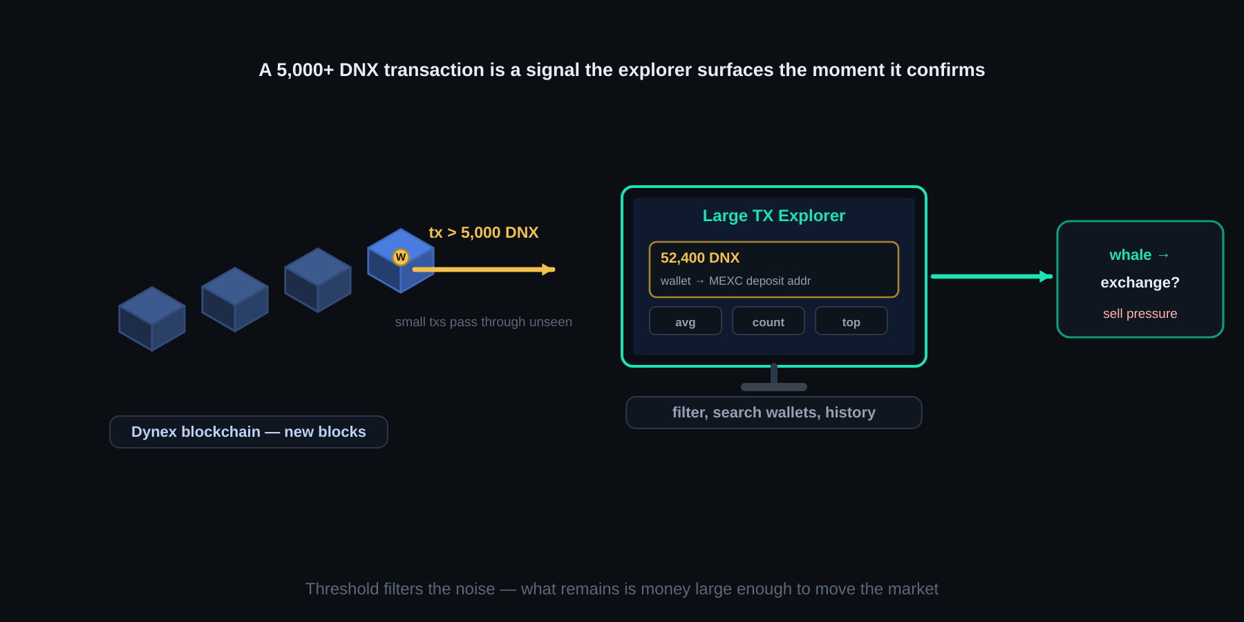 Dynex blockchain feeds the Large TX Explorer — transactions over 5,000 DNX surface as whale signals on the dashboard