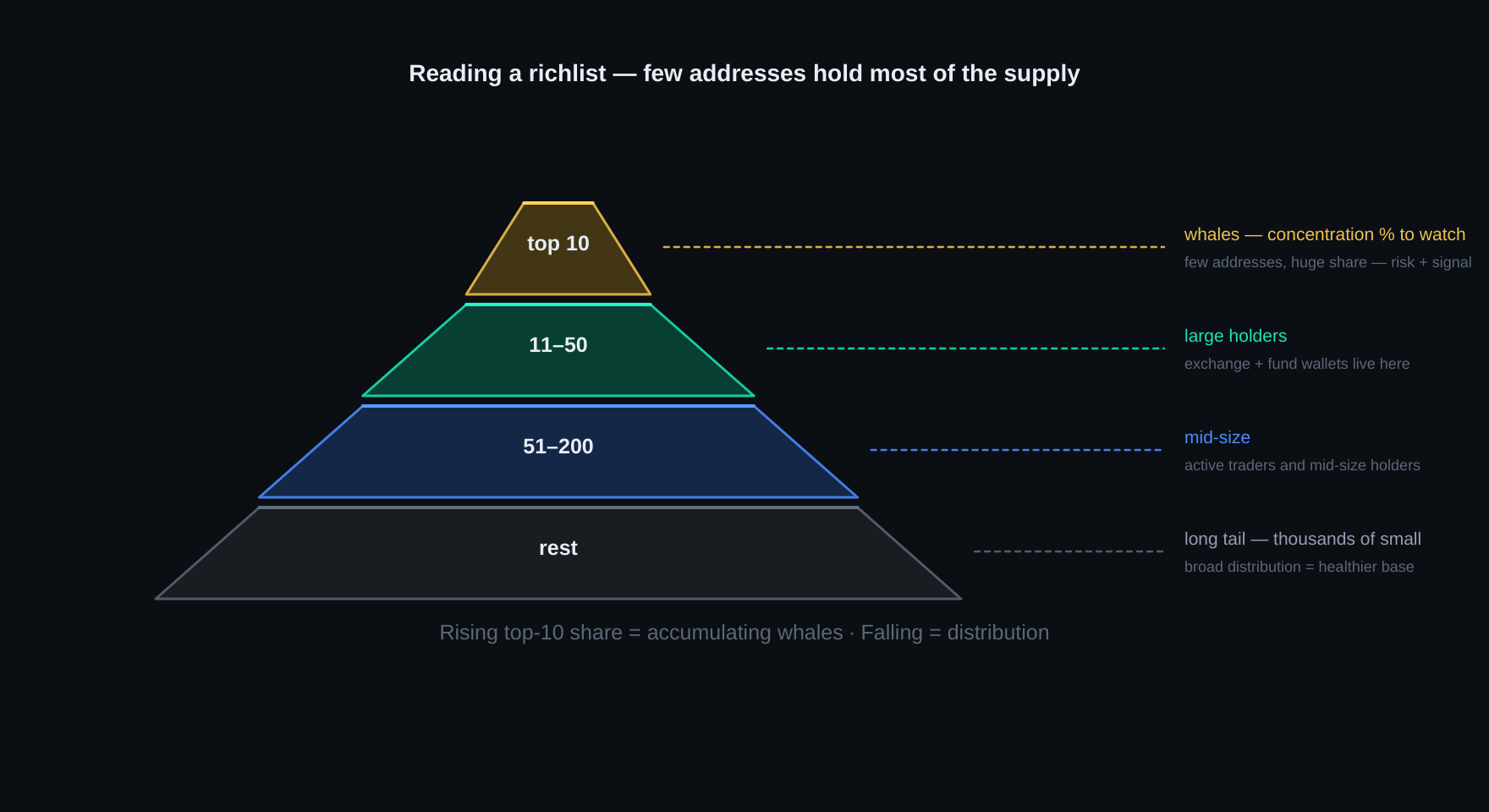 Richlist distribution pyramid — top 10 whale addresses hold most of the supply, a long tail of small holders forms the base